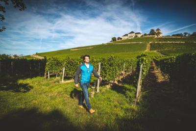 Weingut Trenz – Neuvorstellung